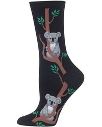 Hot Sox Climbing Koala Socks - Black