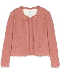 IRO - Shavani Cotton Jacket - Lyst