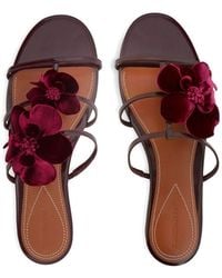 Zimmermann - Orchid Leather Flat Sandals - Lyst