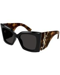 Saint Laurent - Oversized Square Acetate Sunglasses - Lyst