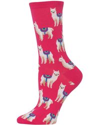 Hot Sox Llamas Crew Socks - Pink