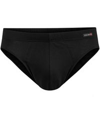 CALIDA - Slip - Lyst
