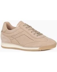 Gabor - Novice Trainers - Lyst