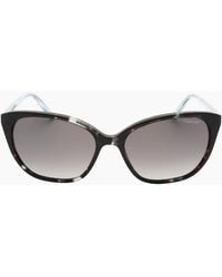 Banana Republic - Sf Polarized Lens Havana Style Sunglasses - Lyst