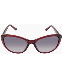 Calvin Klein - Milky Burgundy Framed Gradient Lensed Sunglasses - Lyst