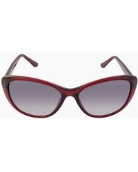 Calvin Klein - Milky Burgundy Framed Gradient Lensed Sunglasses - Lyst