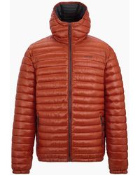 Regatta - Hurden Padded Jacket - Lyst