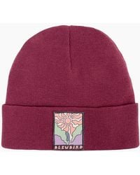 Bleubird - Wilder Beanie - Lyst