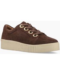 Hush Puppies - Tamsin Suede Chocolate Slim Fit Trainers - Lyst