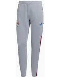 adidas - Ol Tr Pnt W - Lyst