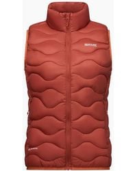 Regatta - Ladies Hydi Quilted Gilet - Lyst