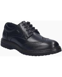 Josef Seibel - Erroll 59 Brogue Shoes - Lyst