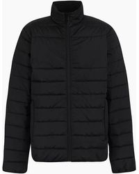 Regatta - Professional Essential Thermal Padded Jacket - Lyst