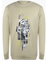 Roberto Cavalli - Cavalli Class Splintered Tiger Logo Sweatshirt - Lyst