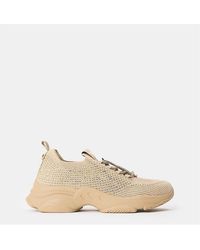 Steve Madden - Meter Low-Top Trainers - Lyst