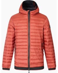 Regatta - Haile Padded Jacket - Lyst