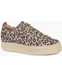 Paul Green - Emma Trainers - Lyst