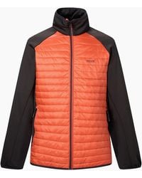 Regatta - Clumber Hybrid Jacket - Lyst