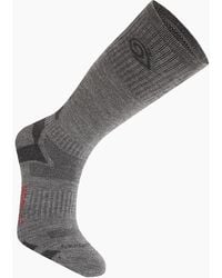 Craghoppers - Adult Wool Blend Insect Repellent Advent Socks - Lyst