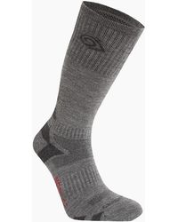 Craghoppers - Adult Wool Blend Insect Repellent Advent Socks - Lyst