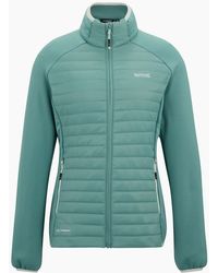 Regatta - Ladies Highton Stretch Padded Jacket - Lyst