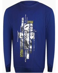 Roberto Cavalli - Cavalli Class Splintered Tiger Graphic Iris Sweatshirt - Lyst