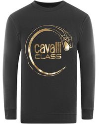 Roberto Cavalli - Cavalli Class Piercing Snake Logo Sweatshirt - Lyst