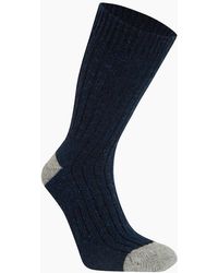 Craghoppers - Adult Torver Walking Socks - Lyst