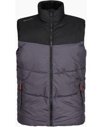 Regatta - Professional Insulated Body Warmer - Lyst