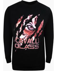 Roberto Cavalli - Cavalli Class Peeking Tiger Design Sweatshirt - Lyst