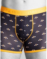 Swole Panda - Bumblebees Bamboo Boxer Brief - Lyst