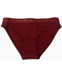 Tommy Hilfiger - Lurex Pinstripe Bikini Brief, Deep Rouge - Lyst