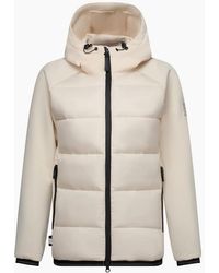 Regatta - Ladies Esme Padded Jacket - Lyst