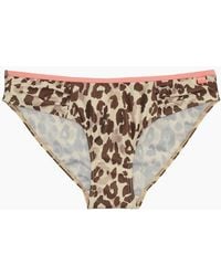 Regatta - Ladies Aceana Leopard Print Bikini Bottoms - Lyst