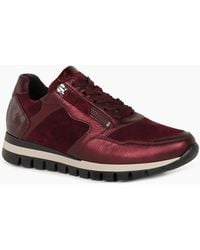 Gabor - Willet Trainers - Lyst