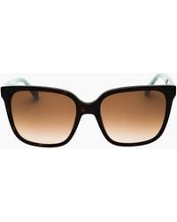 Love Moschino - Havana Sf Sunglasses - Lyst