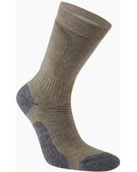 Craghoppers - Adult National Trust Trekking Socks - Lyst