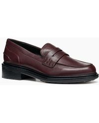 Geox - D Walk Pleasure F Leather Wine Moccasins Shoes - Lyst