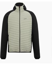 Regatta - Andreson Hybrid Jacket - Lyst