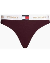 Tommy Hilfiger - Golden Heritage Bikini Brief, Burgundy - Lyst