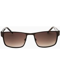 Tommy Hilfiger - Havana Sunglasses - Lyst