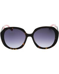 Tommy Hilfiger - Dark Sf Lens Havana Sunglasses - Lyst