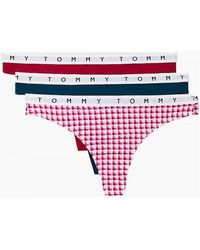 Tommy Hilfiger - Cotton 3-Pack Thong, Exotic Berry/Gingham/Night Diver - Lyst