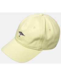 Fynch-Hatton - New Tree Baseball Cap Pear - Lyst
