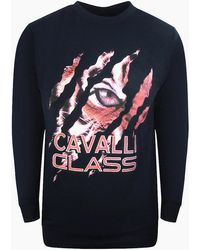 Roberto Cavalli - Cavalli Class Peeking Tiger Design Sweatshirt - Lyst