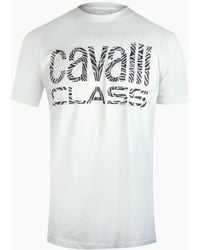 Roberto Cavalli - Cavalli Class Bold Zebra Print Logo T-Shirt - Lyst