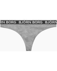 Björn Borg - Iconic Cotton Thong - Lyst