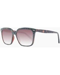 Ted Baker - Sunglasses Tb1676 149 53 - Lyst