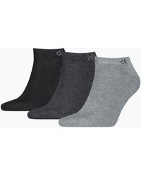 Calvin Klein - 3-Pack Ck Premium Combed Cotton Trainer Socks, Melange - Lyst