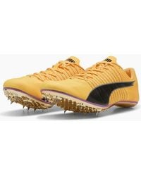 PUMA - Evospeed Brush 6 Track Running Spikes - Lyst